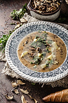 Potato mushrooms soup