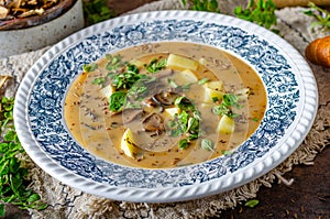 Potato mushrooms soup