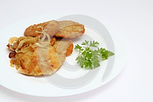 Potato pancakes or latkes or draniki on white plate. Top view. Copy space. Fried potato pancakes