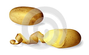 Potato peeled 3D vector illustration of isolated realistic potato vegetable whole and half peeled and spiral twisted