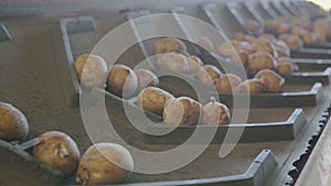 Potato processing line
