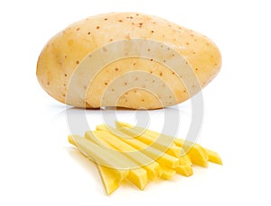 Potato raw and french fries on white background
