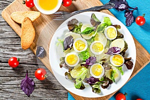 Potato salad with chicken eggs, leaves of oakleaf lettuce, basil