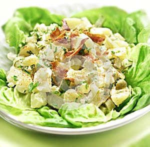 Potato salad with letuce served in a bowl