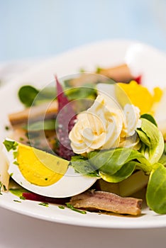 Potato salad with red beet, smoked herring, egg and soy-bean mayonnaise