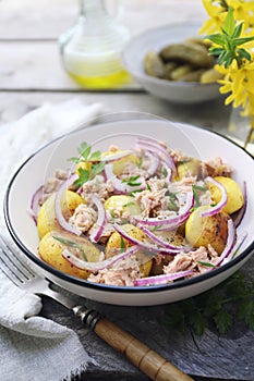 Potato salad with tuna and red onion, olive oil and parsley dressing
