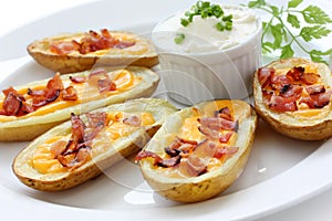 Potato skins , appetizer