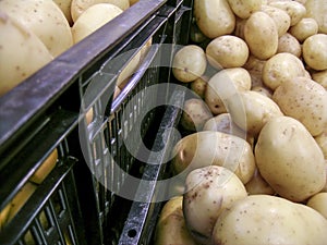 Potato stall photo