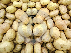 Potato stall photo