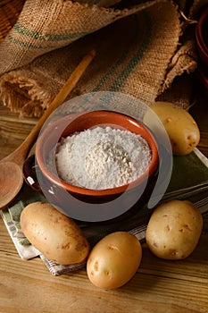 Potato starch in terracotta bowl