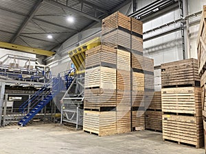 Potato storage facility. Forklift used to stack the crates. Refrigerated cold warehouse for potatoes and onions with wooden boxes.