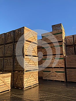 Potato storage facility. Wooden boxes used for potatoes and onions are stacked outside the warehouse.