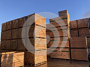 Potato storage facility. Wooden boxes used for potatoes and onions are stacked outside the warehouse.