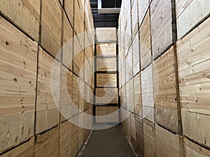 Potato storage. Refrigerated cold warehouse for potatoes and onions with wooden boxes.