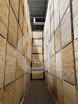 Potato storage. Refrigerated cold warehouse for potatoes and onions with wooden boxes.