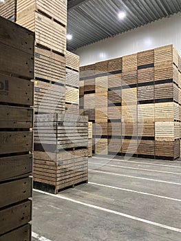 Potato storage. Refrigerated cold warehouse for potatoes and onions with wooden boxes.