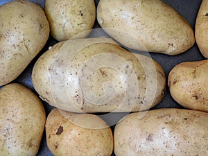 Potato texture