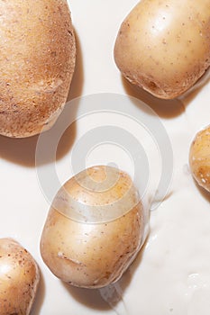 Potato tubers in milk. The concept of an alternative plant-based milk from potatoes