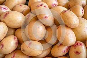 Potato tubes close up on the farm market stall. Food background