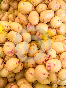 Potato tubes close up on the farm market stall. Food background