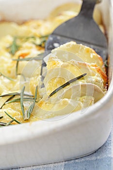 Potato and turnip gratin photo