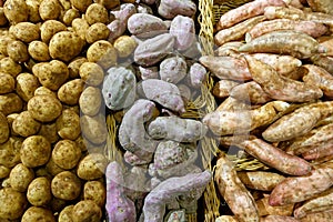 Potato Varieties in Baskets