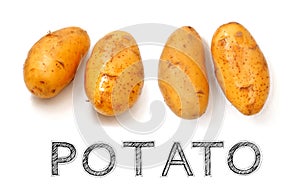 Potato vegetable