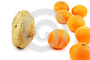 Potato vs mandarins photo