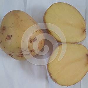 Potato& x28;Solanium Tubersum& x29; is a root crop can be used for food ingredients photo