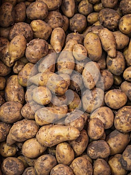 Potatoes as background.