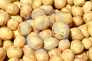 Potatoes background