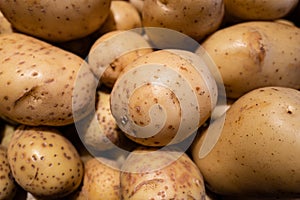 Potatoes. Background with Yellow vegetables. Natural food. Organic food. Potato.