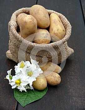 Potatoes in the bag