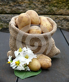 Potatoes in the bag