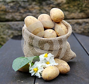 Potatoes in the bag