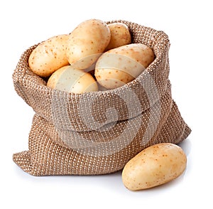 Potatoes in burlap bag isolated on white