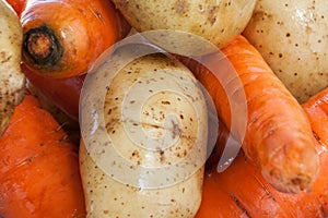 Potatoes and carrots