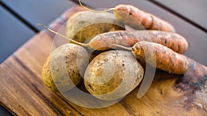 Potatoes and carrots crop on a wooden garden table background