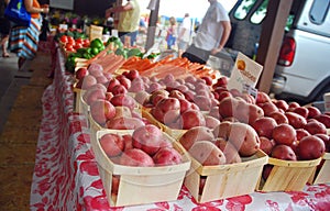 Potatoes-Carrots & More At The Farmer`s Market