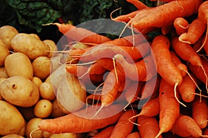 Potatoes, carrots and swiss chard