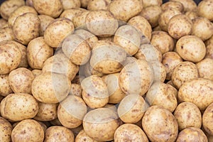 Potatoes close up detailed fresh off the ground in a basket on a Sunday`s farmers market. Concept for homegrown farming vegetarian