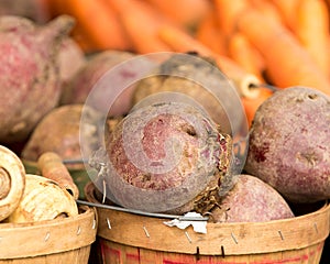 Potatoes at the Farmer's Market