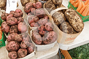 Potatoes at Farmers Market