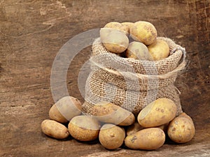 Potatoes from the field