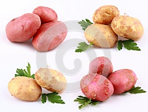 Potatoes