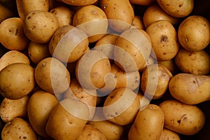 Potatoes-Goodly new potatoes