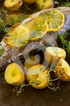Potatoes And Lemon On Trout Fillet