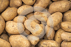 Potatoes in the market - Solanum tuberosum. Top view
