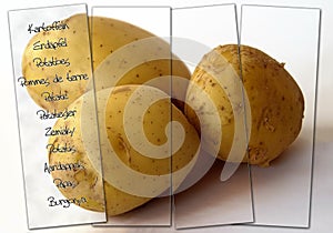 Potatoes with multilingual labeling