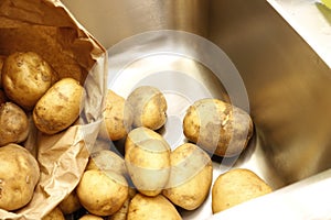 Potatoes and a paper bag in a kicthen sink